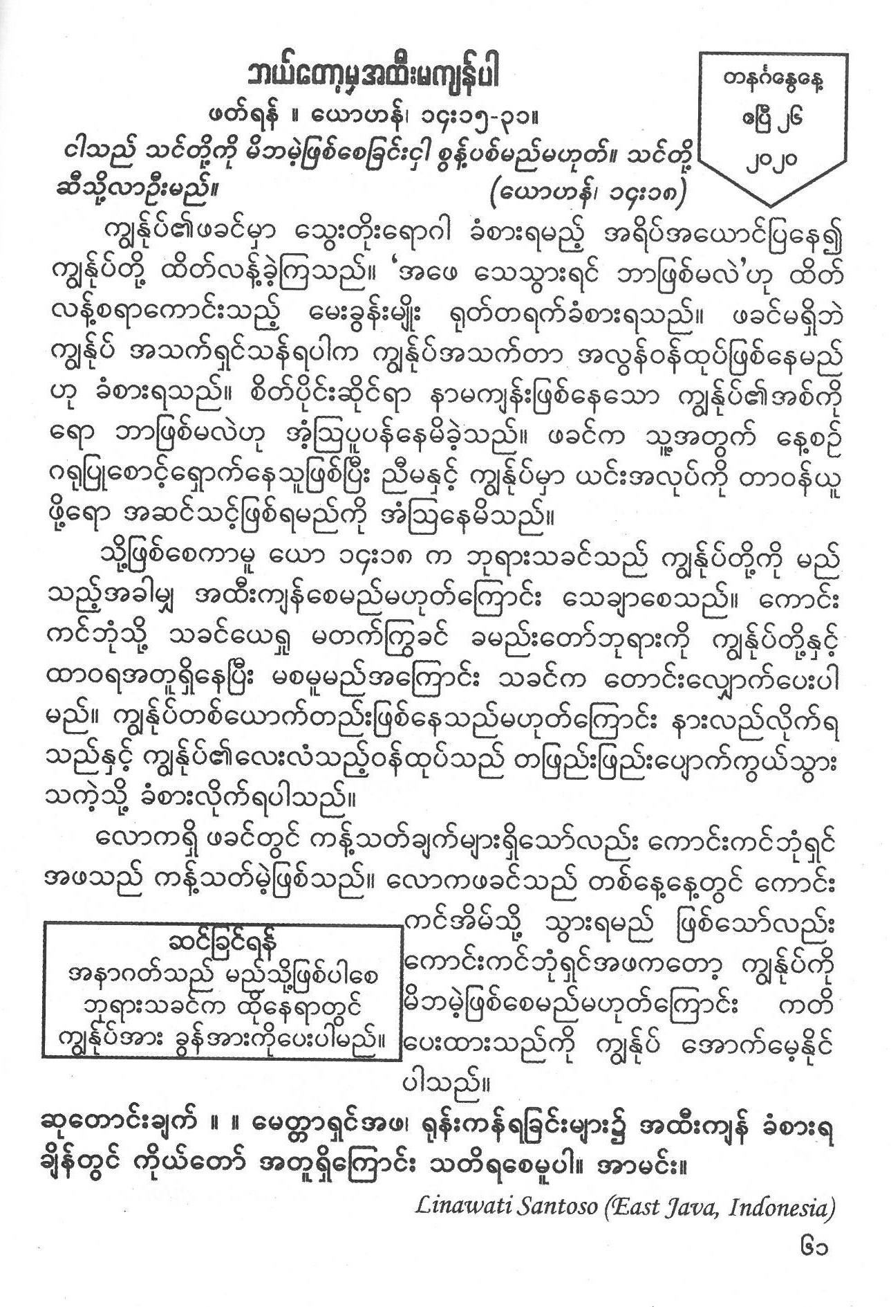 Burmese med.jpg